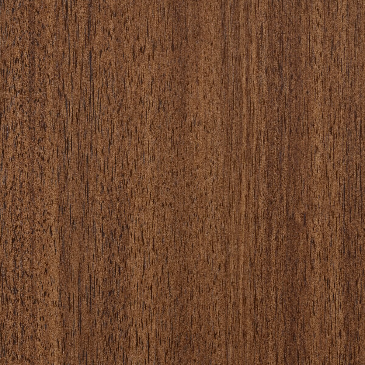 Lyncott Dining Server - Image 9