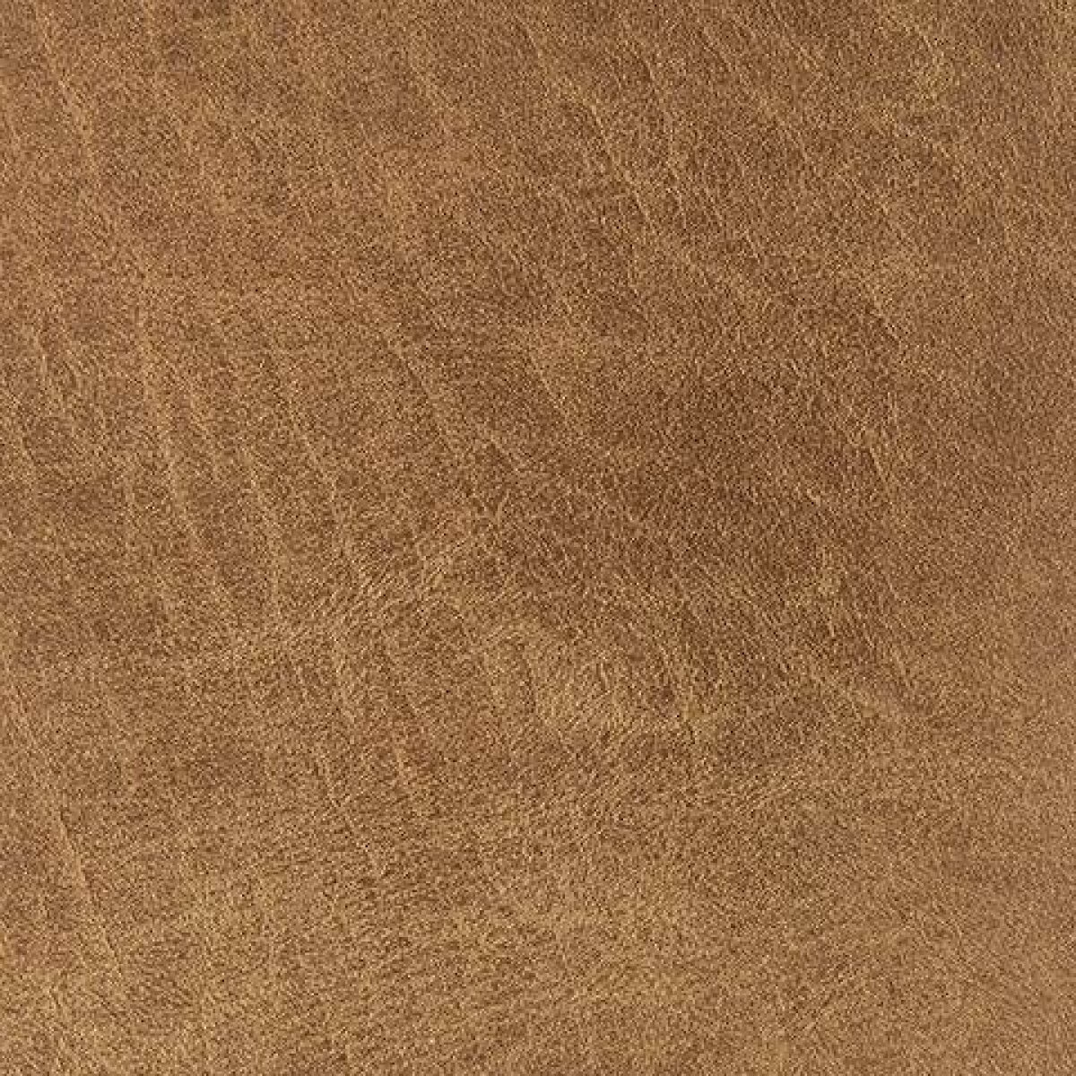 Cortnie Pillow (Set of 4) - Image 5