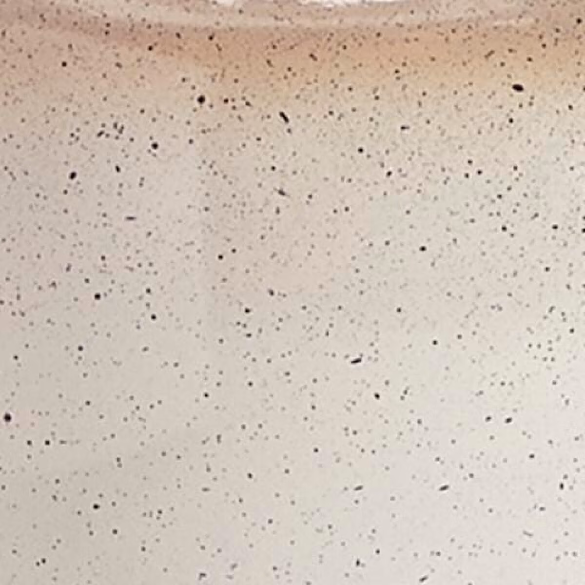 Waldish Table Lamp - Image 5