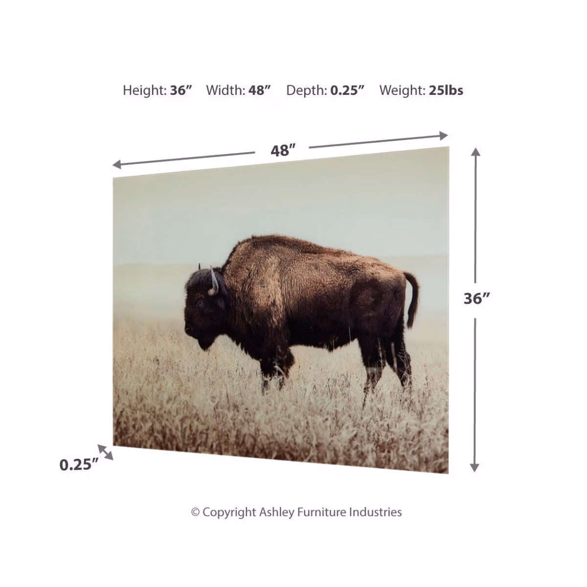 Brutus Wall Art - Image 5