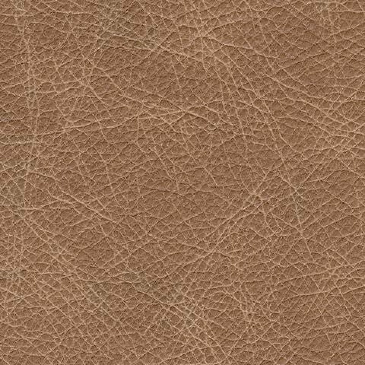 Bradney Swivel Accent Chair - Image 7