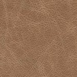 Bradney Swivel Accent Chair - Image 7