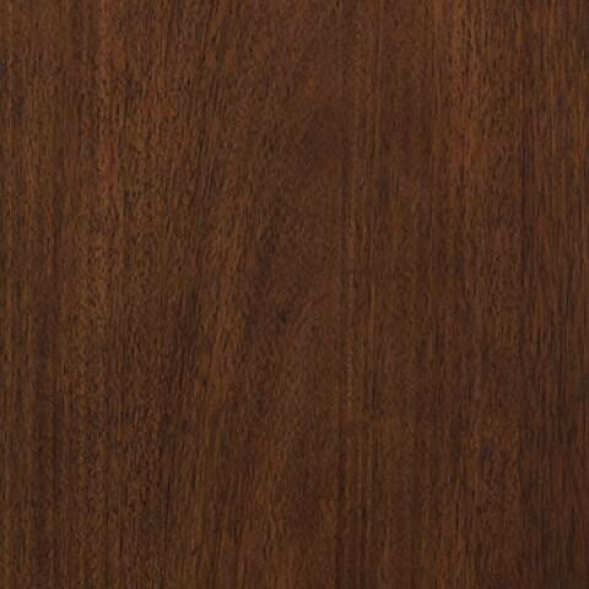 Dilenno Dining Server - Image 9