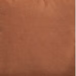 Caygan Pillow - Image 6