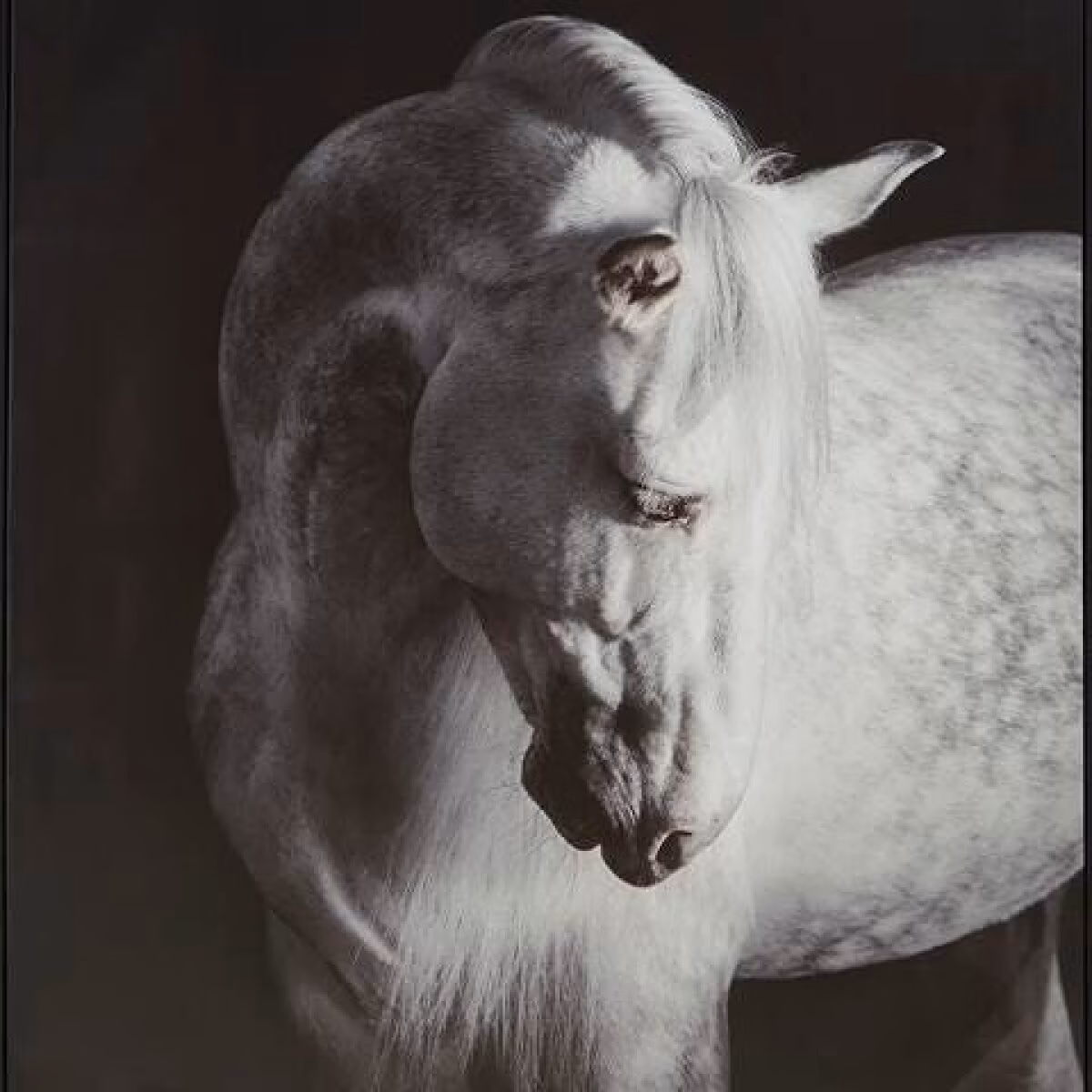Archerwick Wall Art - Image 7