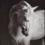 Archerwick Wall Art - Image 7