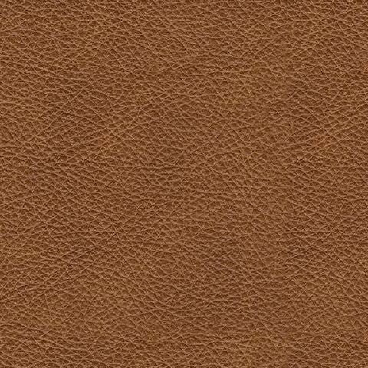 Carianna Sofa, Loveseat, Oversized Chair and Ottoman - Image 27