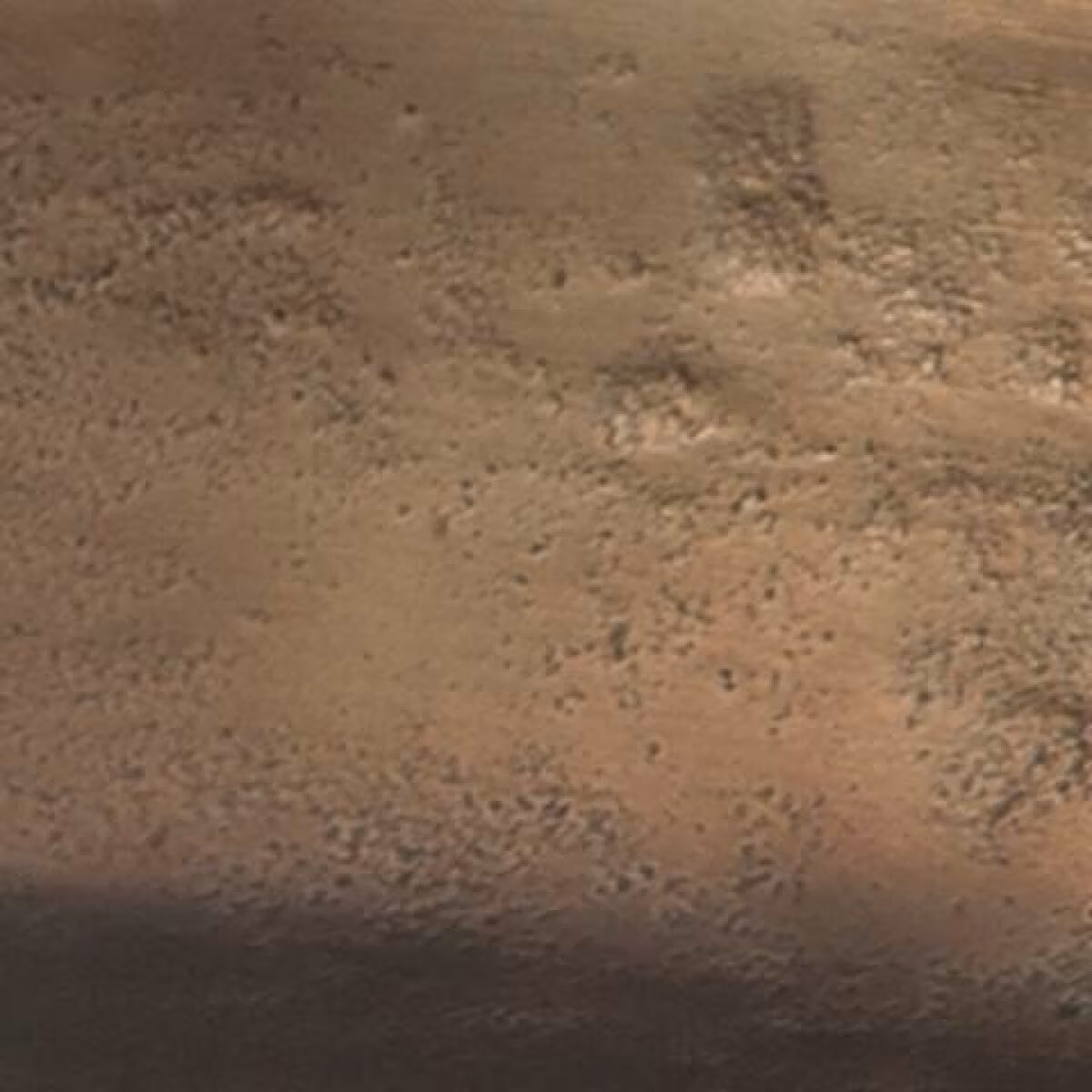 Wallmen Tray - Image 6