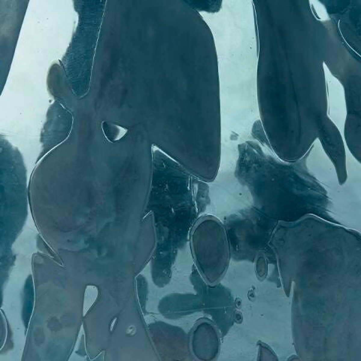 Cartshaw Vase - Image 5