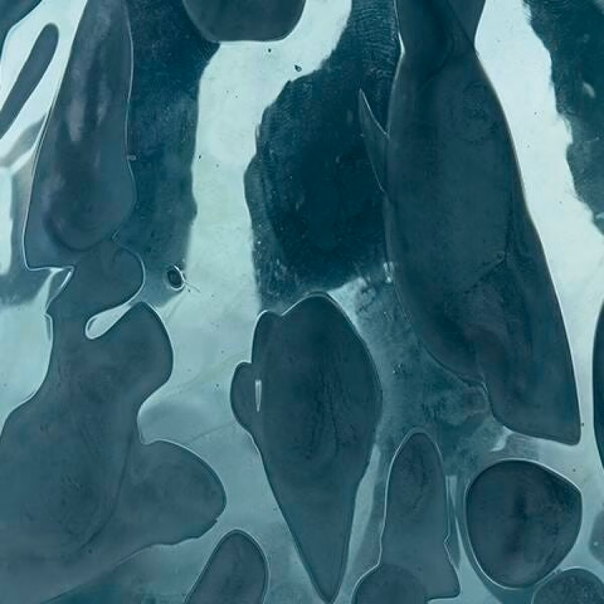 Cartshaw Vase - Image 5