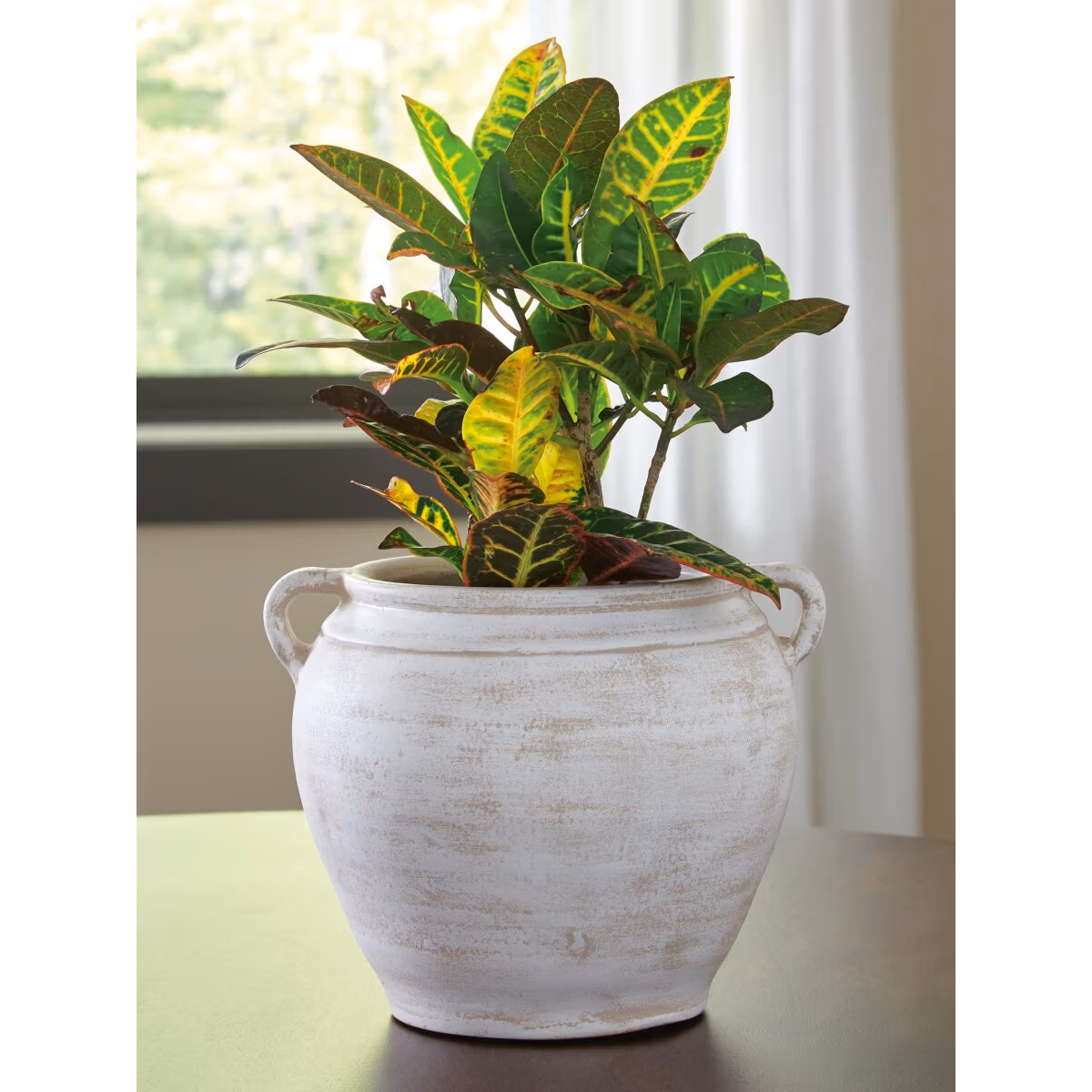 Meadie Vase - Image 3